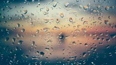 7-Day Rain Guarantee Window Cleaning