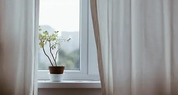 Dirty Windows Hold Allergens