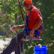 Window Cleaning Professional up high