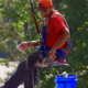 Window Cleaning Professional up high