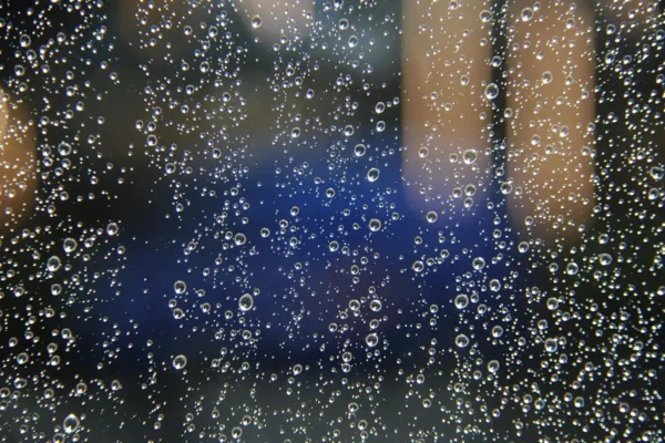 Rain drops rest on a window