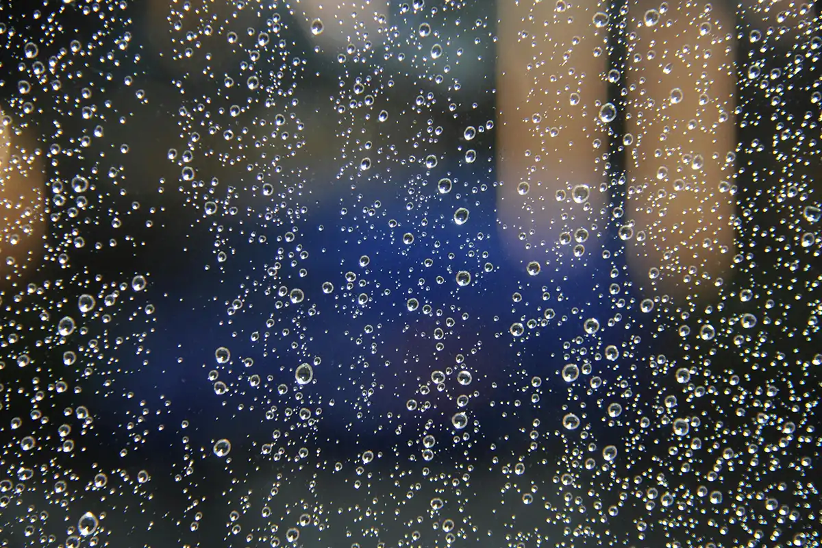 Rain drops rest on a window